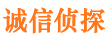 大东诚信私家侦探公司